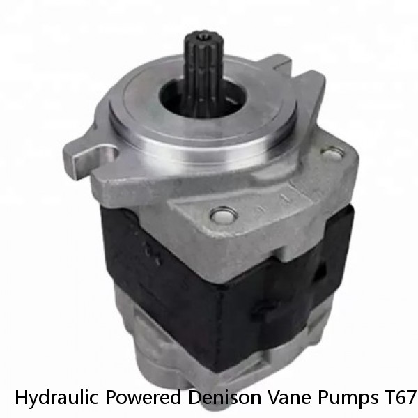 Hydraulic Powered Denison Vane Pumps T67B B09 For Rubber And Plastics Machinery