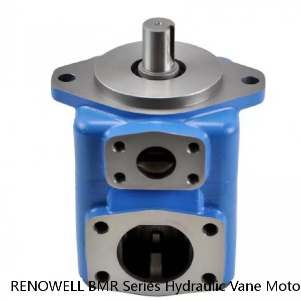RENOWELL BMR Series Hydraulic Vane Motor With Two Inner Check Valves